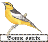 Blinkies - Image gif animée Animaux : Oiseau Bonne soirée