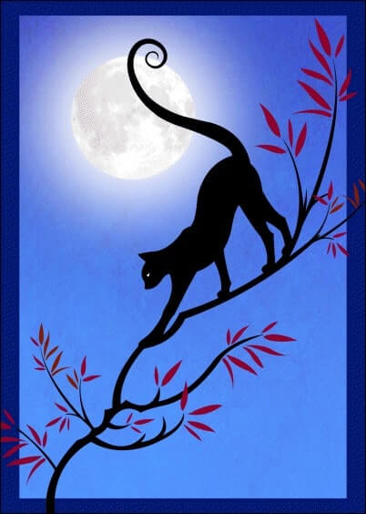 Cartes postales Animaux : Chat devant la pleine lune