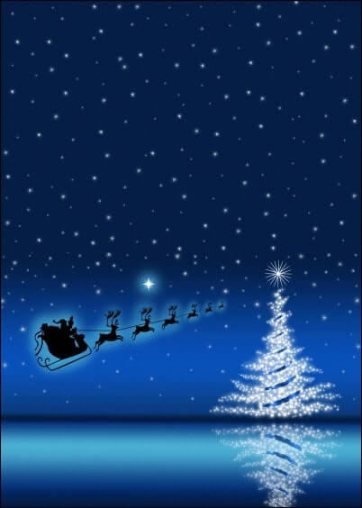 Cartes postales de Noël : Traineau et sapin sous un ciel étoilé
