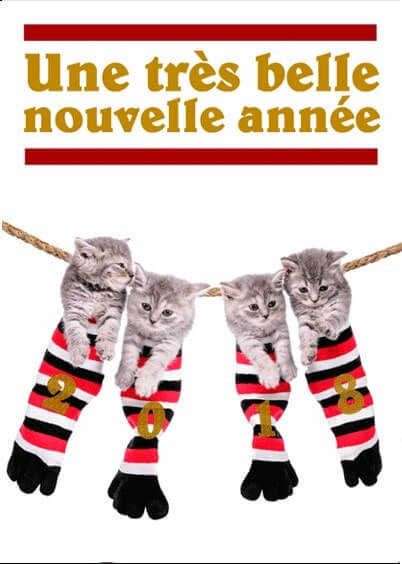 Cartes postales de Voeux de fin d'année : Chatons dans des chaussettes - Belle nouvelle année
