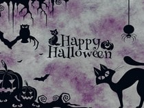 Fond d'écran Animaux d'Halloween - Chat noir et citrouille