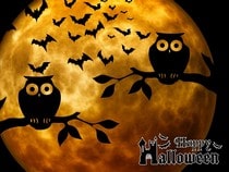Fond d'écran Animaux d'Halloween - Hiboux et pleine lune