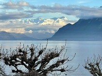 Jeu Puzzle Casse-tête en ligne Paysages Lacs Léman Suisse
