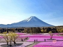 Jeu Puzzle Casse-tête en ligne Paysages Montagnes Fuji Japon