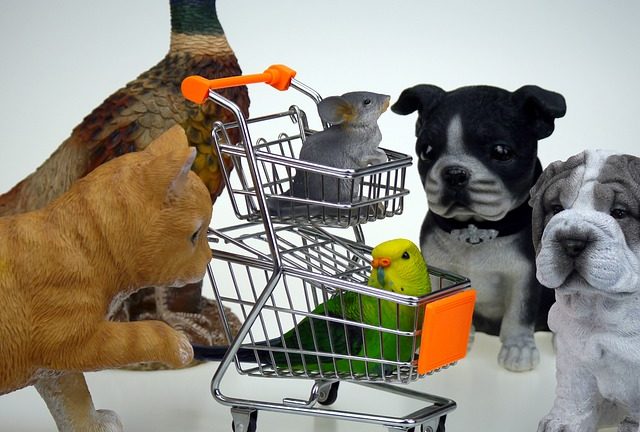 Shopping animaux