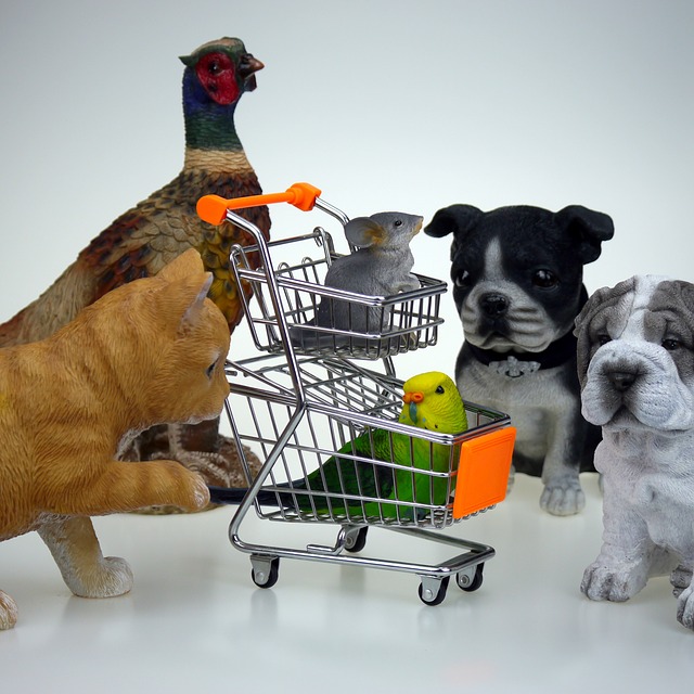Shopping animaux