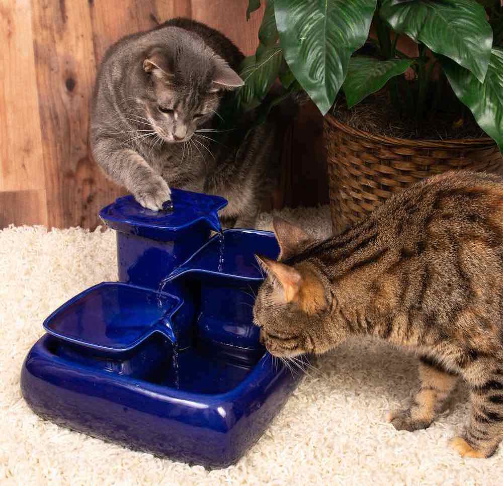 Fontaine à eau pour chats Miaustore - Blue