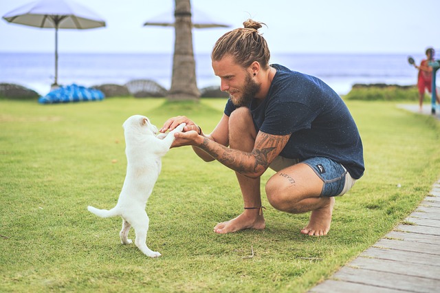 Chiot et son maître