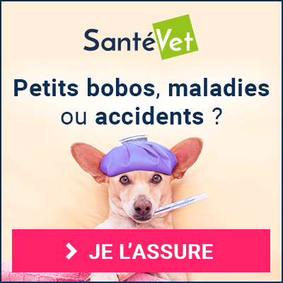 Santévet, assurance pour animaux n°1 en France