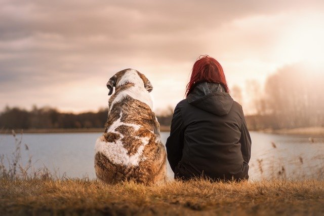 Relation Homme - Animal