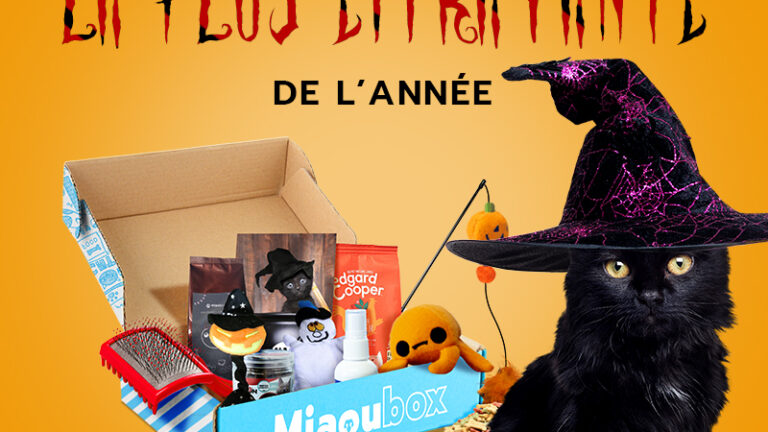 Box-surprise d’Halloween pour chien et chat