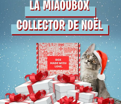 Cadeau de Noël pour chats