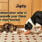 Avis sur les croquettes chien et chat de la marque Japhy