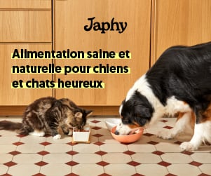 croquettes Japhy chien et chat