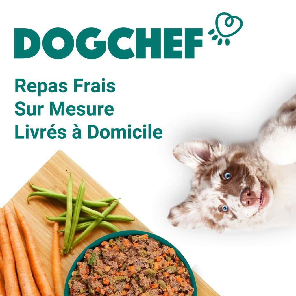DogChef Repas sains pour chien