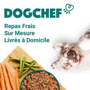 Repas pour chien : changement de recettes chez Dog Chef !