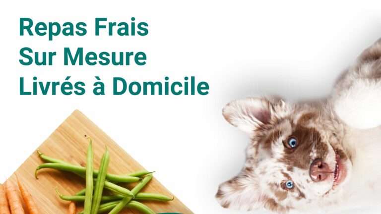 DogChef Repas sains pour chien