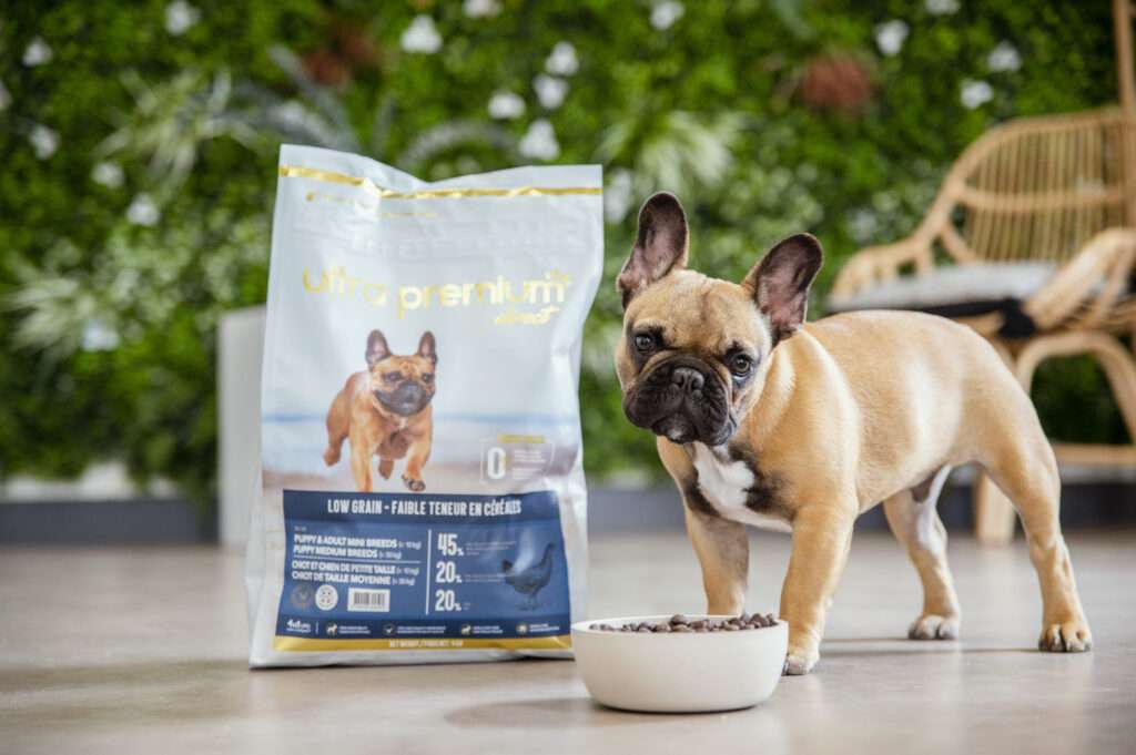 Croquettes à faible teneur en céréales pour chien