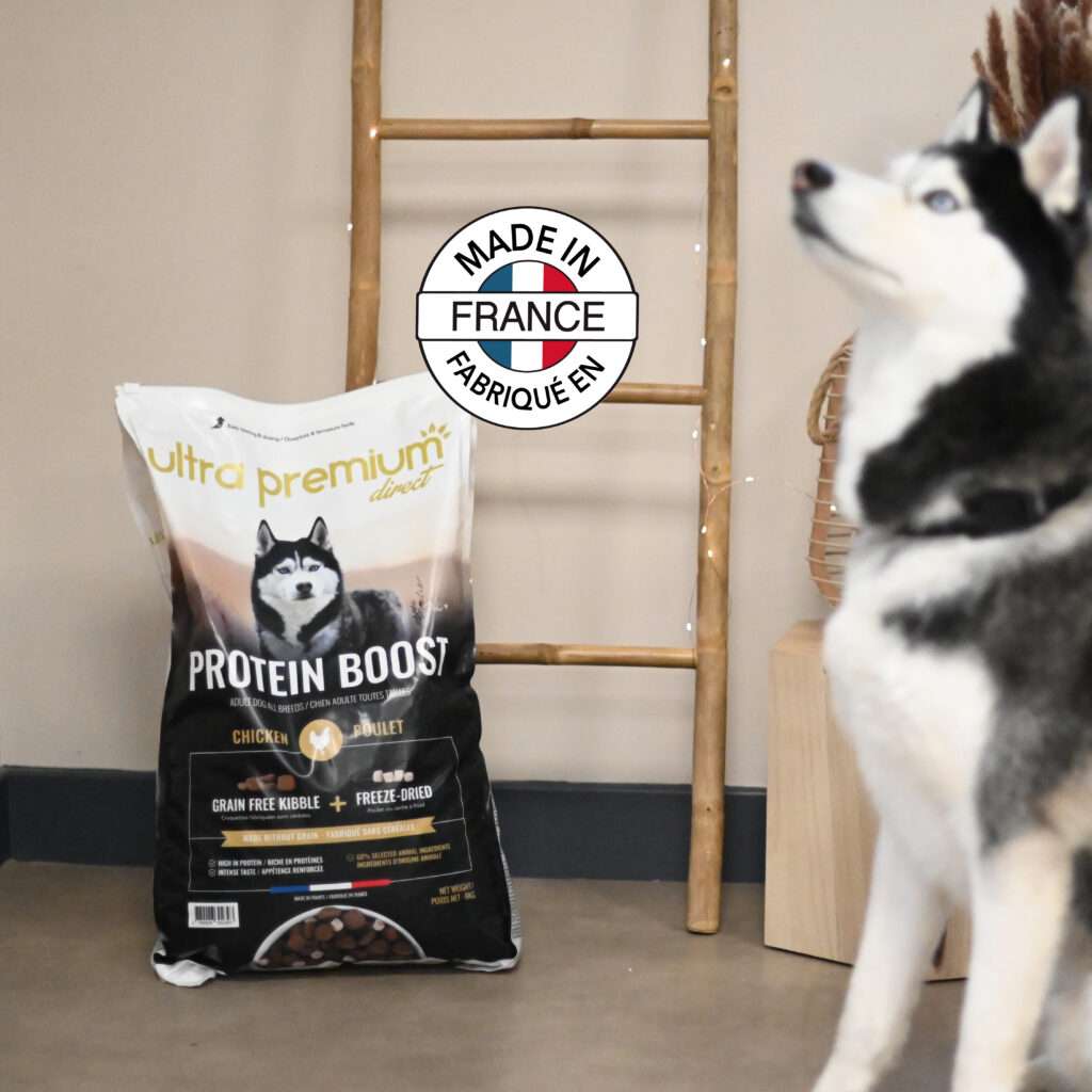 Croquettes Protein Boost pour chien Husky