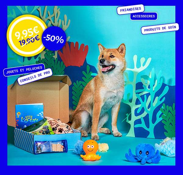 Box Sous l'Ocean pour les chiens Woufbox