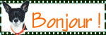 Blinkies - Image gif animée Animaux : Chien Bonjour !