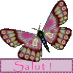 Blinkies - Image gif animée Animaux : Papillon Salut !