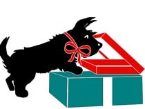 Offrez à votre animal (chien et chat) des boîtes surprise