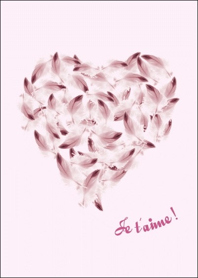 Cartes postales Amour et Animaux : Je t'aime - Coeur en plumes