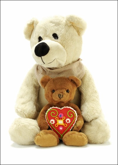 Cartes postales Amour et Animaux : Nounours amoureux