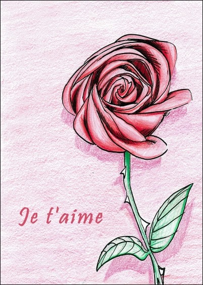 Cartes postales Amour et Animaux : Je t'aime avec une rose