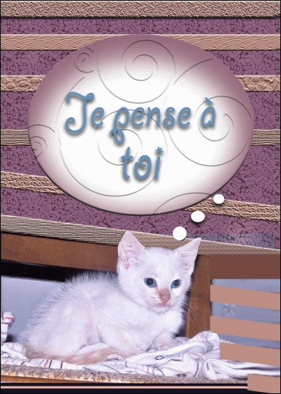 Cartes postales Amour et Animaux : Petit chat - Je pense à toi