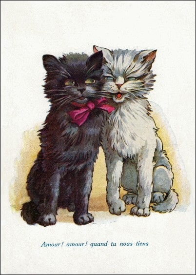 Cartes postales Amour et Animaux : Carte ancienne - Couple de chats noir et blanc