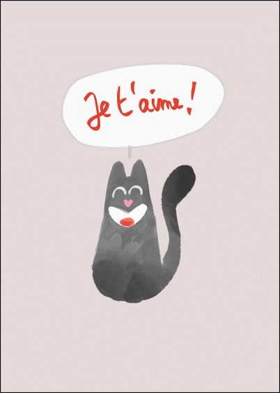 Cartes postales Amour et Animaux : Chat amoureux