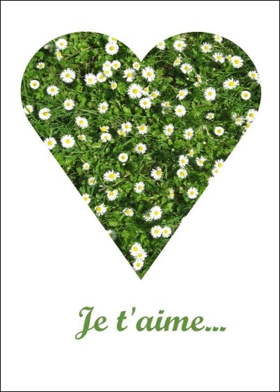 Cartes postales Amour et Animaux : Coeur de marguerites - Je t'aime
