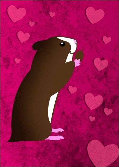 Cartes postales Amour et Animaux : Hamster amoureux et coeurs