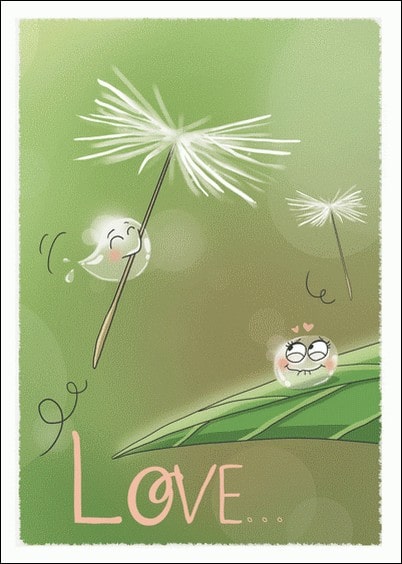 Cartes postales Amour et Animaux : Amour de gouttelettes