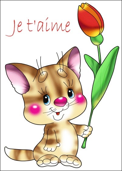 Cartes postales Amour et Animaux : Petit chat - Je t'aime