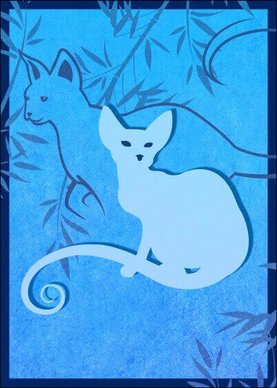 Cartes postales Animaux : Chat sur un fond bleu