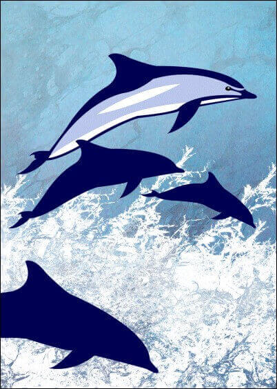 Cartes postales Animaux : Dessin de dauphins