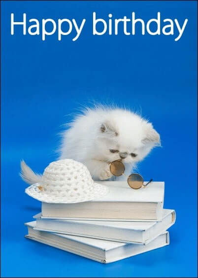 Cartes postales Anniversaire et Animaux : Petit chaton et livres