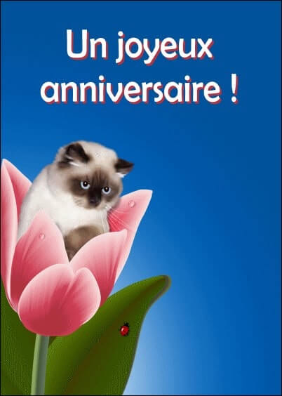 Cartes postales Anniversaire et Animaux : Chaton et fleurs