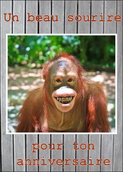 Cartes postales Anniversaire et Animaux : Sourire d'un singe