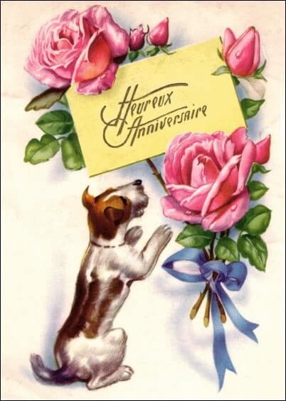 Cartes postales Anniversaire et Animaux : Carte ancienne - Petit chien