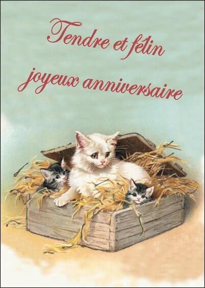 Cartes postales Anniversaire et Animaux : Carte ancienne - Famille chats