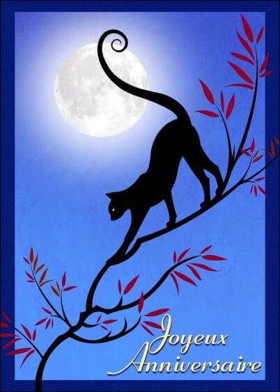 Cartes postales Anniversaire et Animaux : Chat et lune