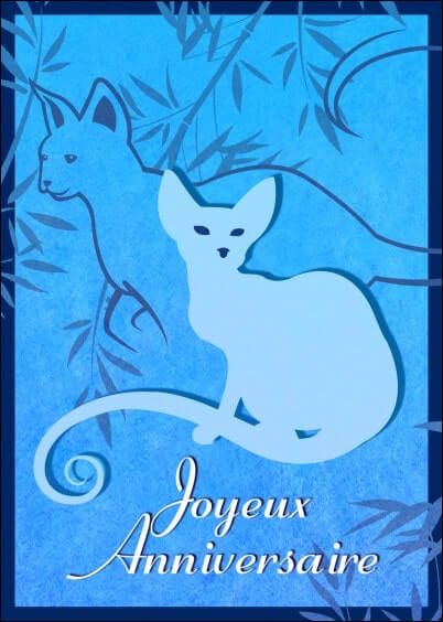 Cartes postales Anniversaire et Animaux : Chat - carte en bleu