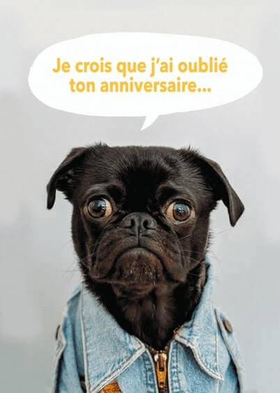 Cartes postales Anniversaire et Animaux : Chien noir - Je crois que j'ai oublié ton anniversaire