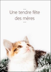 Cartes postales Bonne fête Animaux et Nature