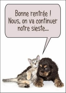 Cartes postales Autres et Humour Animaux et Nature