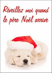 Cartes postales Fêtes de Noël Animaux et Nature